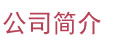 公司簡介